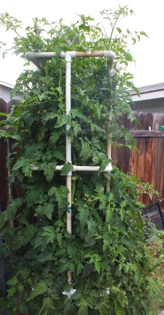 Kellogg's Breakfast photo KelloggsBreakfast_zpsee86d15f.jpg